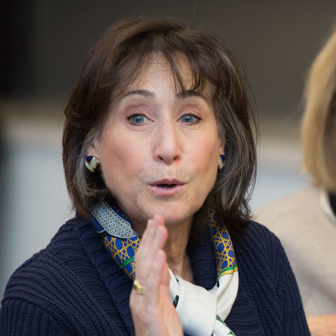 Headshot of a woman in her 60s with light skin tone and dark brown shoulder length hair and wispy bangs. She is wearing a navy sweater and white and blue/green/gold scarf tied around her neck. She is mid-sentence looking off camera.