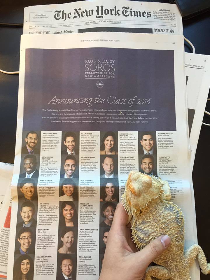 Photograph of the New York Times advertisement, a yellow bearded dragon sits on the bottom right corner being held by a hand.