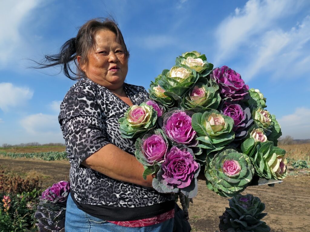 Photograph of a woman holding a large bunch of green, yellow and pink kale flowers. She is standing outside, the wind blowing her hair, behind her farmland can be seen and an expansive blue sky with wispy white clouds.