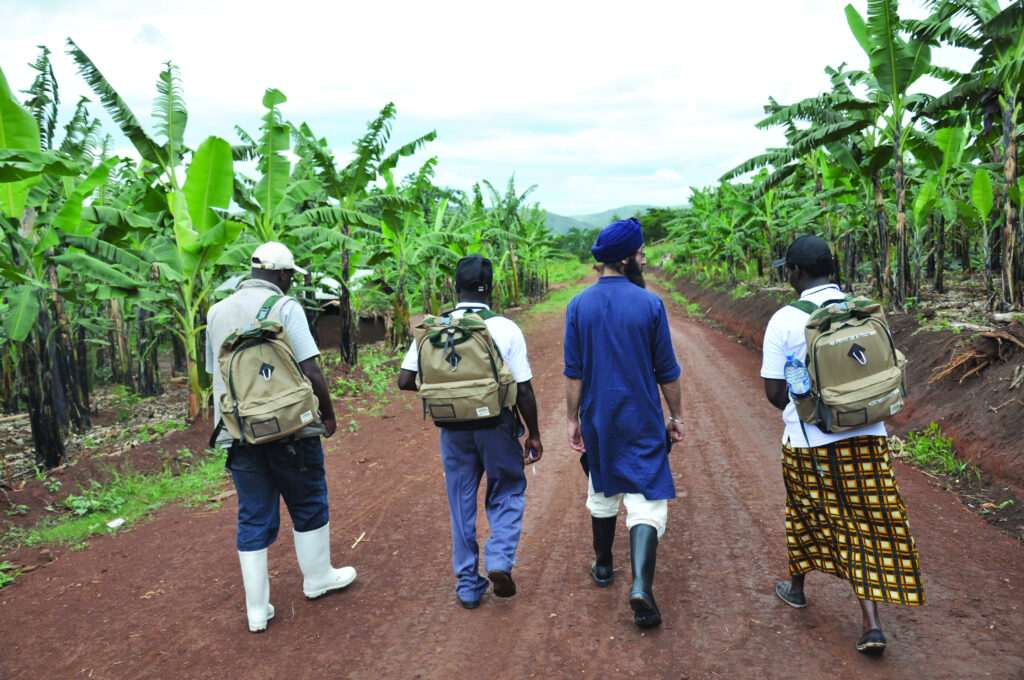 Photograph from behind of four people walking down a dirt road between rows of palm trees.