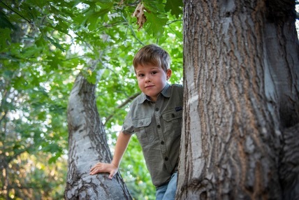 Photograph of a young boy in a tree looking down at the camera.