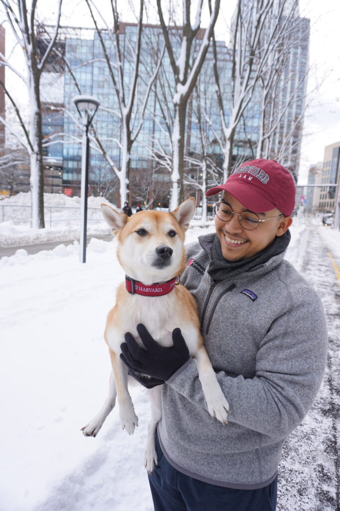 Photograph of a man in his 20s who has heritage from Dominican Republic with medium skin tone. He is standing on a paved snowy sidewalk, all trees in the photo are covered in snow. He is holding a medium sized light colored dog. He is wearing a grey winter jacket, red hat and glasses. 